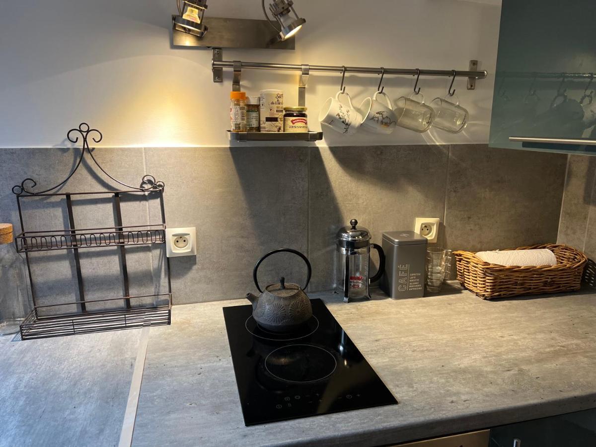 Apartmán Petit Studio De La Maison Du Bonheur - Rez De Jardin Villiers-sur-Marne Exteriér fotografie
